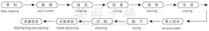 脱水蔬菜带式干燥工艺流程